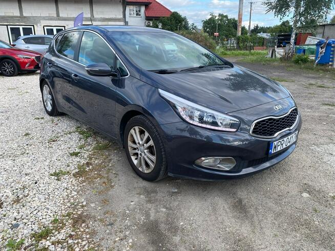 Kia Nowy Ceed BOGATA OPCJA, Kanie - zdjęcie 3