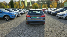 Ford Focus LED, serwisowany Zieleniewo - zdjęcie 8