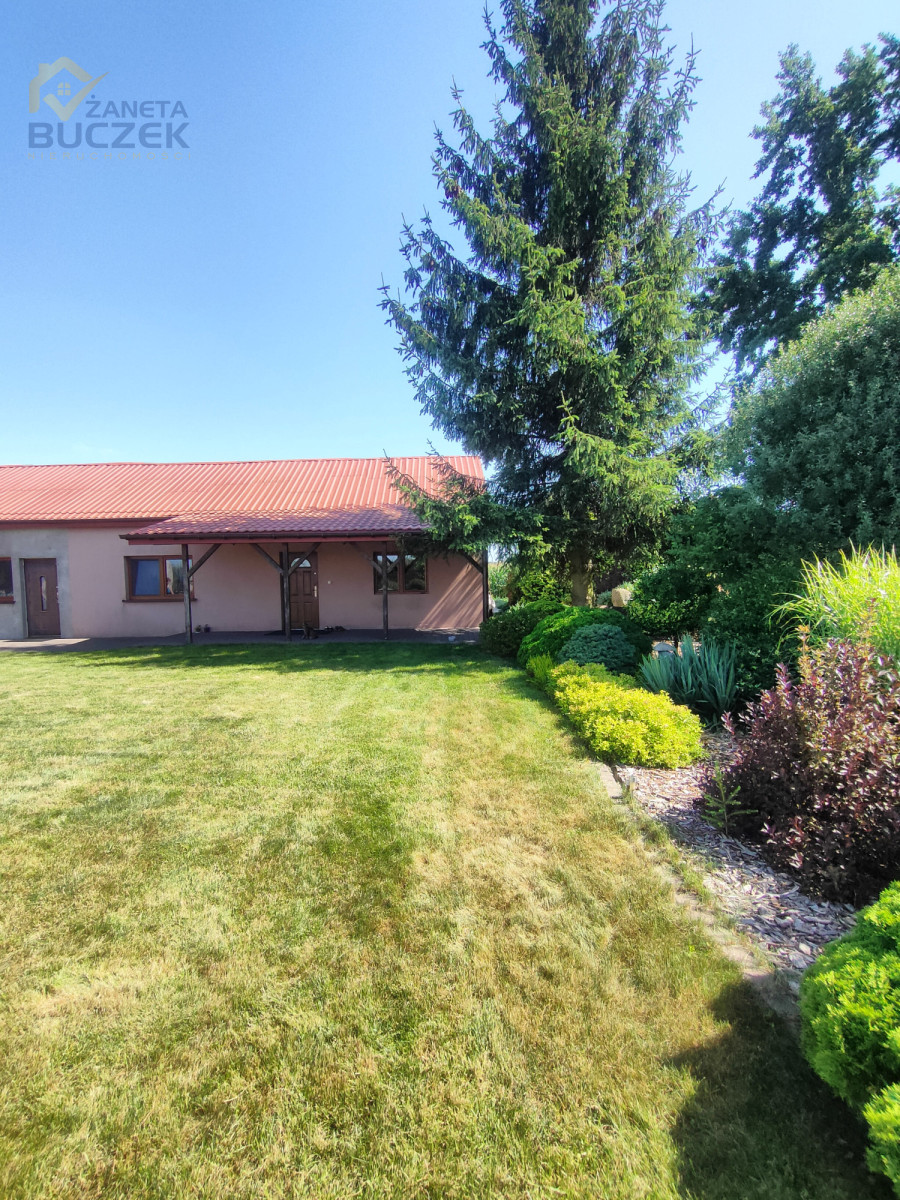 Sprzedam gospodarstwo rolne 14 ha w Aleksandrii Aleksandria - zdjęcie 2