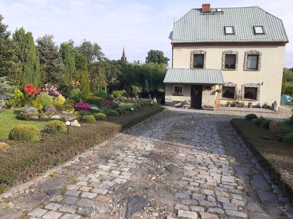 Sprzedam siedlisko dom mieszkalny Jarnołtówek - zdjęcie 10