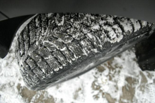 Hyundai Kona 1.6 GDI Hybrid Dębica - zdjęcie 8