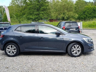 Renault Megane 1,3 Kamera, Nawigacja ,Serwis ,bdb stan Dulowa - zdjęcie 7