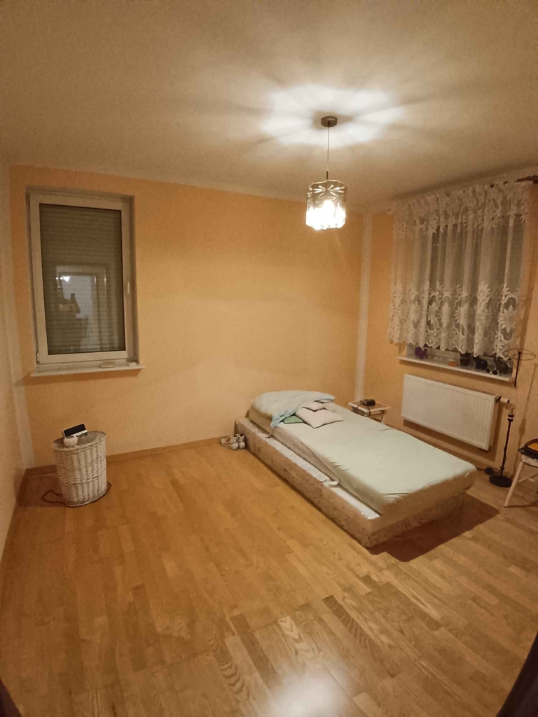 Sprzedam dom do odświeżenia Jenin - zdjęcie 12