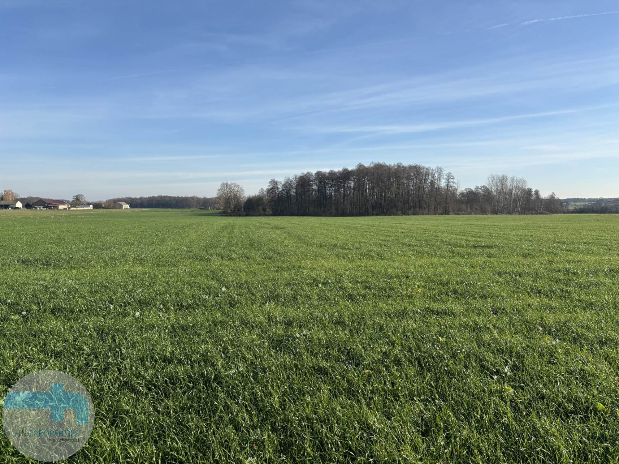 7,4 ha ziemi - idealne pod siedlisko, agroturystykę, stadninę Jaskółowo - zdjęcie 4