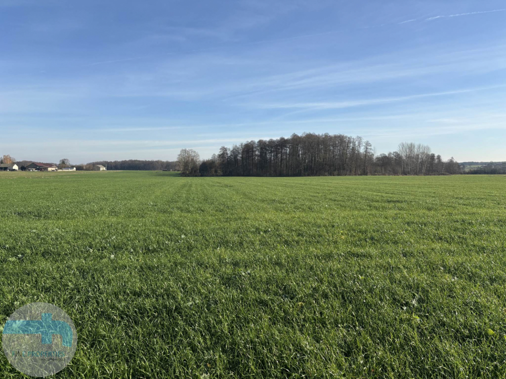 7,4 ha ziemi - idealne pod siedlisko, agroturystykę, stadninę Jaskółowo - zdjęcie 4