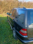 mercedes benz ML 320 Sandomierz - zdjęcie 3