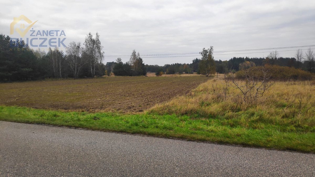 Sprzedam działkę w Budkach Żelazowskich, z MPZP Budki Żelazowskie - zdjęcie 3