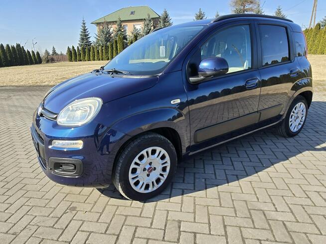 Fiat Panda 0,9benz Turbo. Serwis.Klimatyzacja.EL.szyby.LIFT.Hak.OKAZJA Kutno - zdjęcie 6