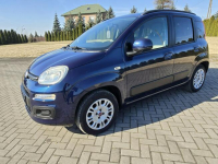 Fiat Panda 0,9benz Turbo. Serwis.Klimatyzacja.EL.szyby.LIFT.Hak.OKAZJA Kutno - zdjęcie 6
