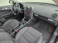 Audi A3 2.0Tdi 170kM * xenon * klimatronic * Sportback Raba Niżna - zdjęcie 10