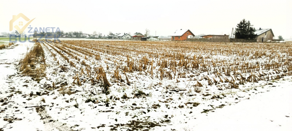 Sprzedam działkę o pow. 4606 m2 w Leonowie Leonów - zdjęcie 1