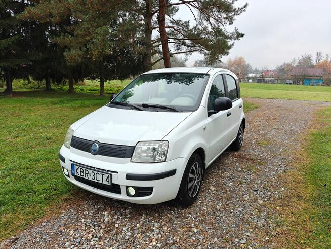 Fiat Panda Jurków - zdjęcie 1