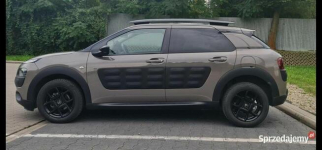 Cactus Sprawdz w garażu samoobsługowym tel 519 853 348 Kraków - zdjęcie 6