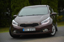 Platinum Lift Navi Ledy Kamera Klimatronic Matrix Braun Alu16 ASO Kia Ostrów Mazowiecka - zdjęcie 2