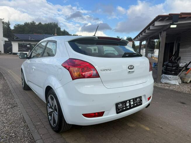 Kia Pro Cee'd Słupsk - zdjęcie 2