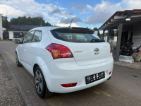 Kia Pro Cee'd Słupsk - zdjęcie 2