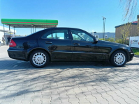 Mercedes W 211 E Białystok - zdjęcie 4