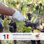 WINOBRANIE 2026