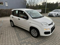 Fiat Panda 1,2 69KM  Klimatyzacja Orzech - zdjęcie 4