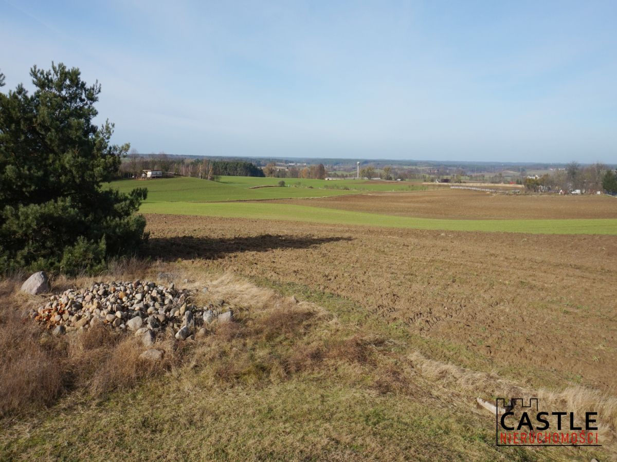 Działka z widokiem na jezioro! Sieraków - zdjęcie 7