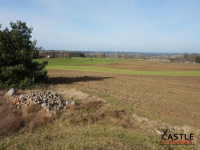Działka z widokiem na jezioro! Sieraków - zdjęcie 7