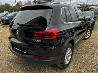 Tiguan 2.0 TDI 177km 4x4 BI-XENON kamera NAVI bordo skóra SERWIS 2014 Tychy - zdjęcie 3