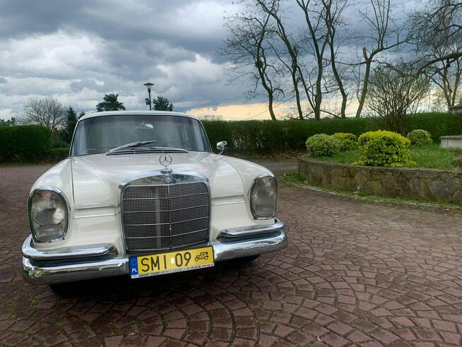 Mercedes W110 Klasa S / W111 / 220S / Zabytek! Łaziska Górne - zdjęcie 4