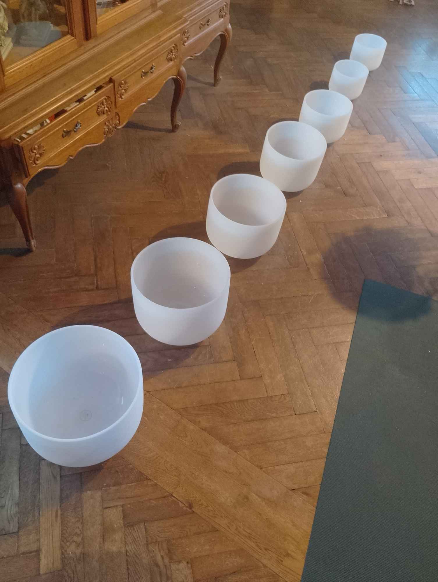 Sprzedam misy grające Gdynia - zdjęcie 1