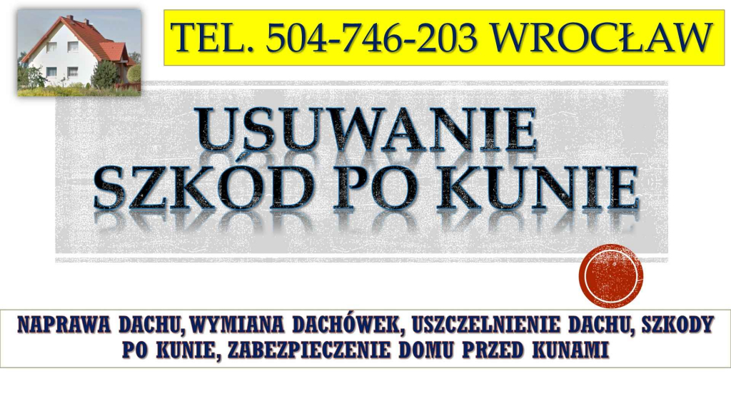 Naprawa dachu, tel.504-746-203. Remont i uszczelnienie dachu po kunie. Psie Pole - zdjęcie 4