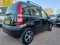 Fiat Panda Sprowadzona z Niemiec. Klima. Relingi. Elektryka. Zadbana. Lublin - zdjęcie 10