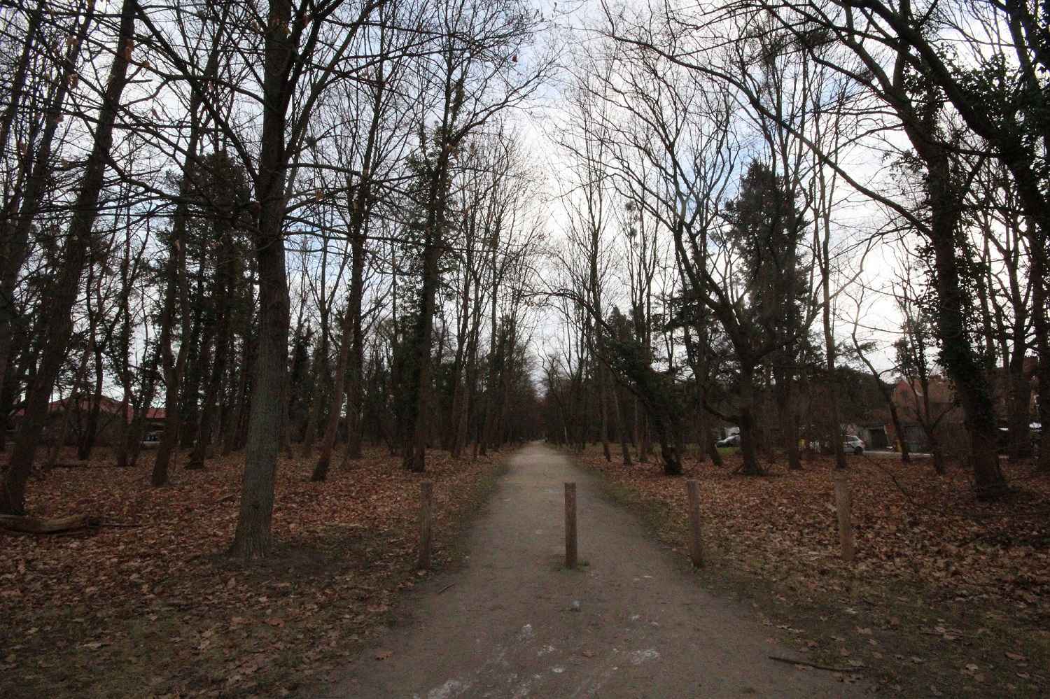 1pok, 24met, okolice Parku Prackiego TARAS/PO REMONCIE (Wrocław) Fabryczna - zdjęcie 10