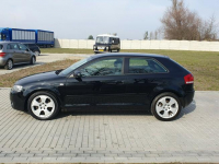 Audi A3 2.0tdi 140KM Skóra Klima Alu17 Raty Zamiana. Strobice - zdjęcie 3