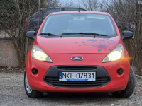 Ford KA 1.2 Titanium*Klima*Pełen serwis Kętrzyn - zdjęcie 3