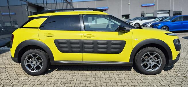 C4 Cactus  - Bezwypadkowy - Polska - Nawigacja Studzienice - zdjęcie 4
