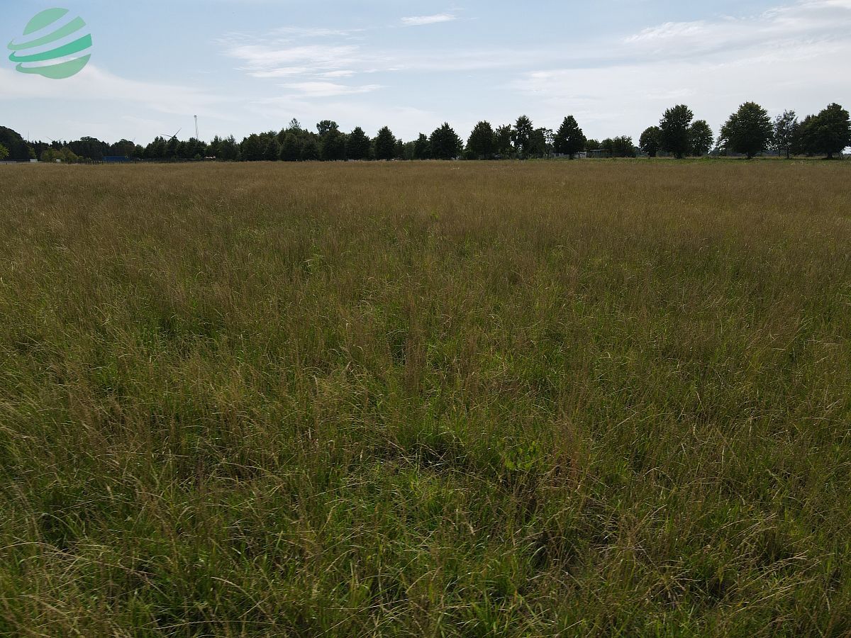 Działka 500m2 budowlana blisko Jeziora Dąbki Gleźnowo - zdjęcie 6