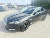 Jaguar XF Zielona Łąka - zdjęcie 3