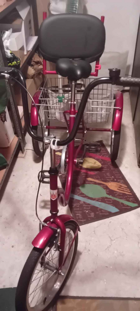 Rower 3 kołowy Tolek Sulejówek - zdjęcie 1