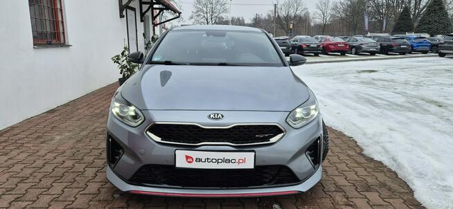 Kia Pro_cee'd Paproć - zdjęcie 2
