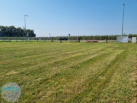 Działka usługowo przemysłowa w Dębe Dębe - zdjęcie 2