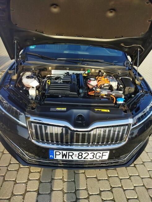 sprzedam Nekla - zdjęcie 12