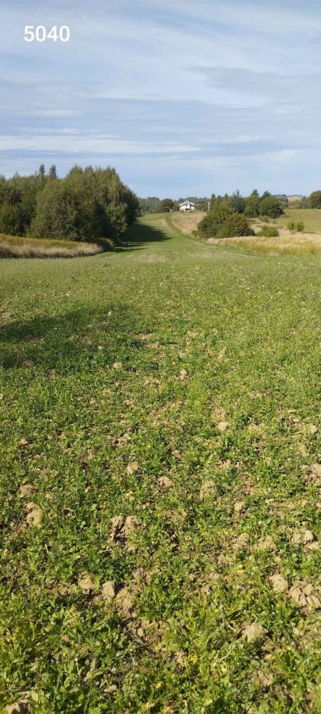 2 działki 1,47ha łącznie na obrzeżach Rzeszowa Rzeszów - zdjęcie 7
