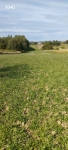 2 działki 1,47ha łącznie na obrzeżach Rzeszowa Rzeszów - zdjęcie 7