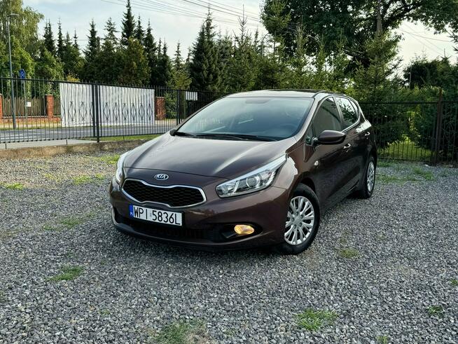 Kia Ceed 1.4 benzyna, piękny kolor, stan wzorowy. Gołków - zdjęcie 2