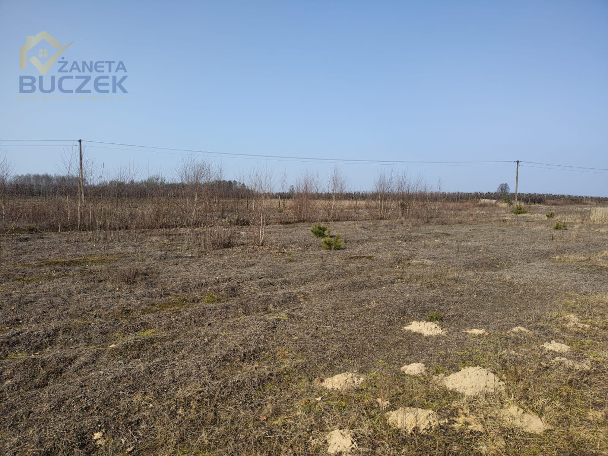 Sprzedam działki rolne o pow. 4029 w Skarbikowie Skarbikowo - zdjęcie 3