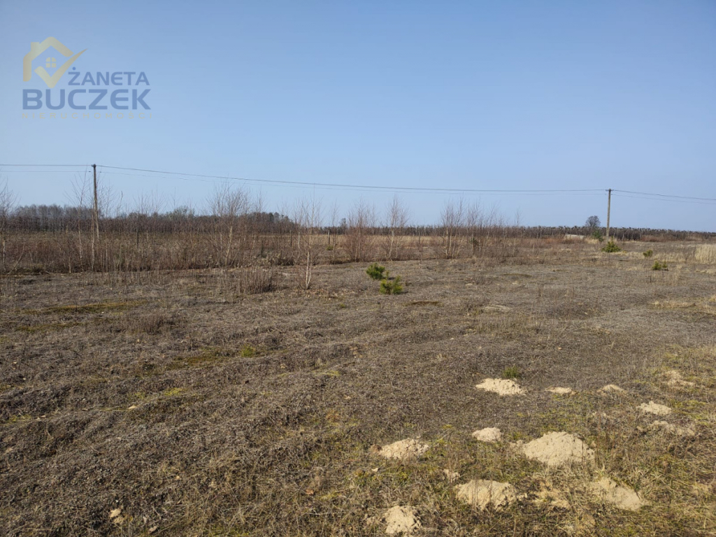 Sprzedam działki rolne o pow. 4029 w Skarbikowie Skarbikowo - zdjęcie 3