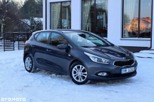 Kia Cee'd 1.6 GDI Dream Team Edition Ostrów Mazowiecka - zdjęcie 5