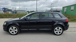Audi A3 Climatronic   super stan nowy rozrząd Lębork - zdjęcie 5