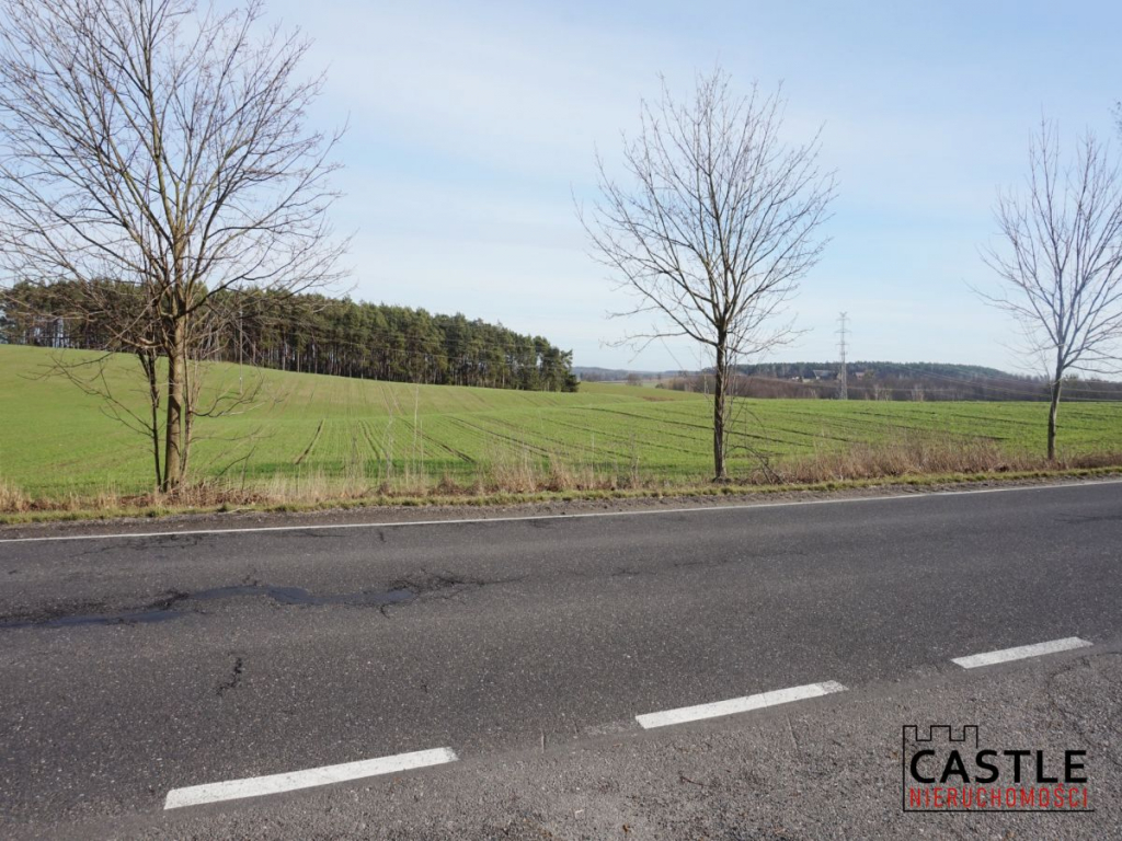 Działka z widokiem na jezioro! Sieraków - zdjęcie 5