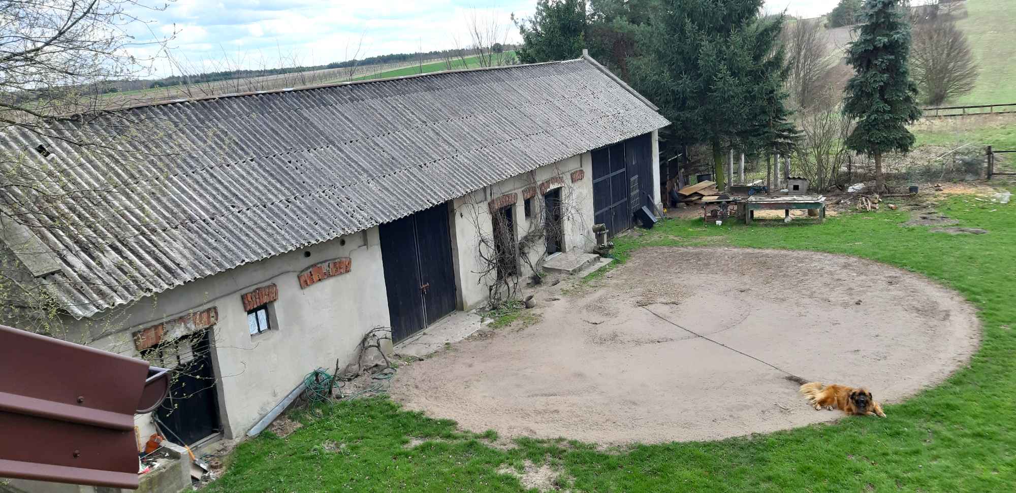 Dom do remontu, z gospodarstwem, 1,5 km od zalewu Chańcza Życiny - zdjęcie 7