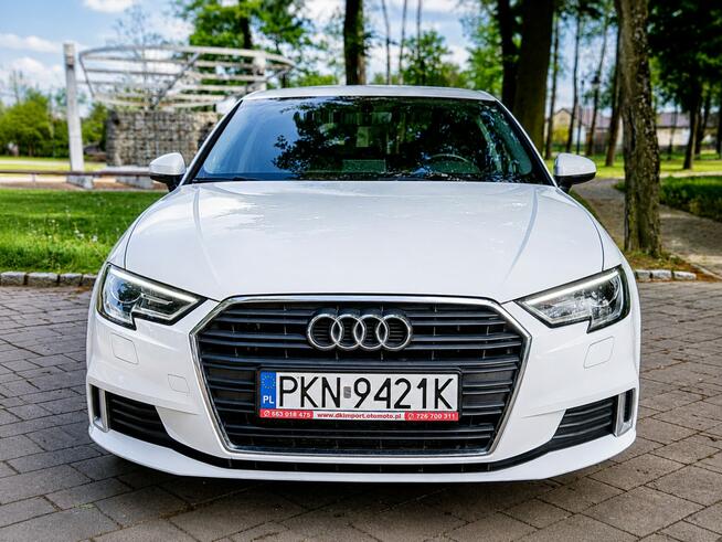 Audi A3 Sadlno - zdjęcie 2